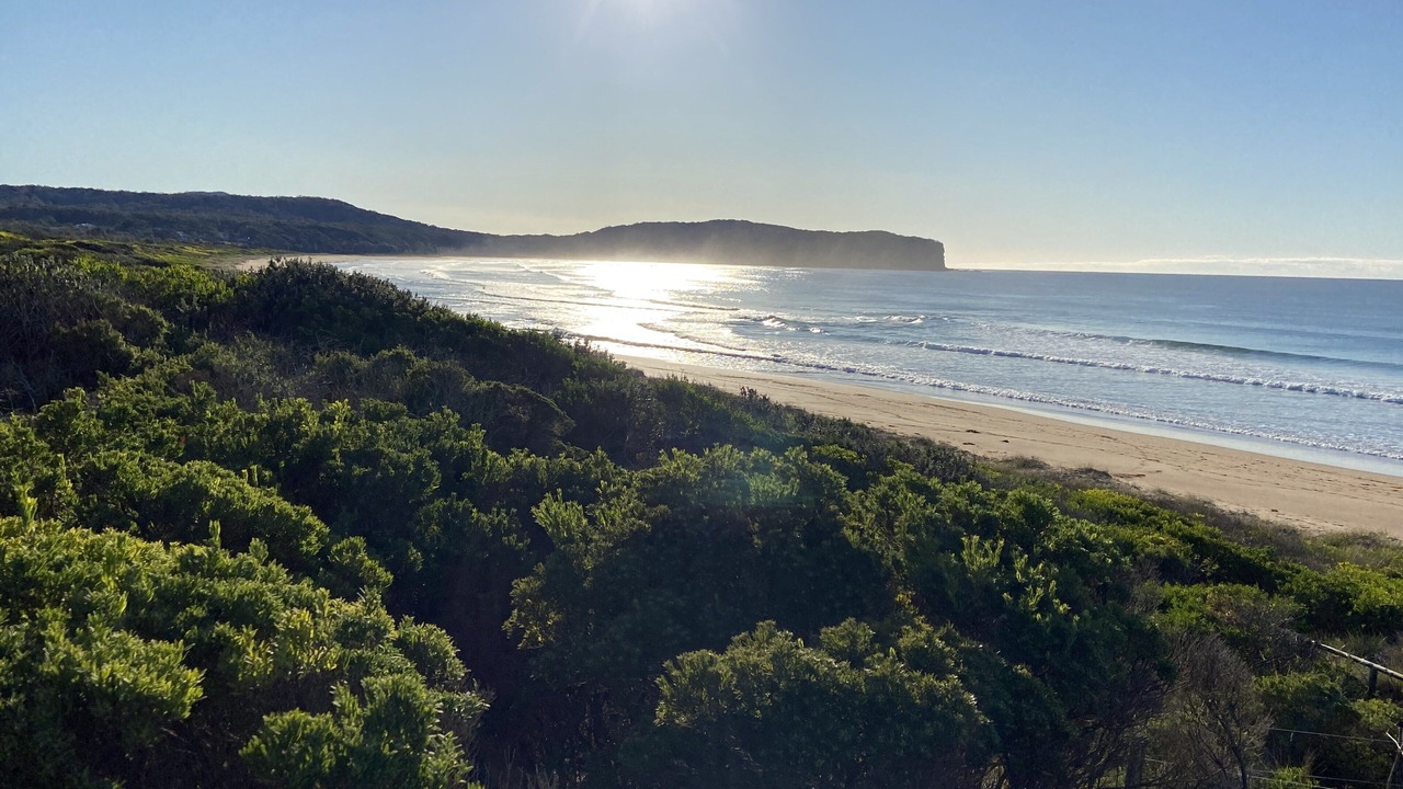 Photo of Others in South Durras