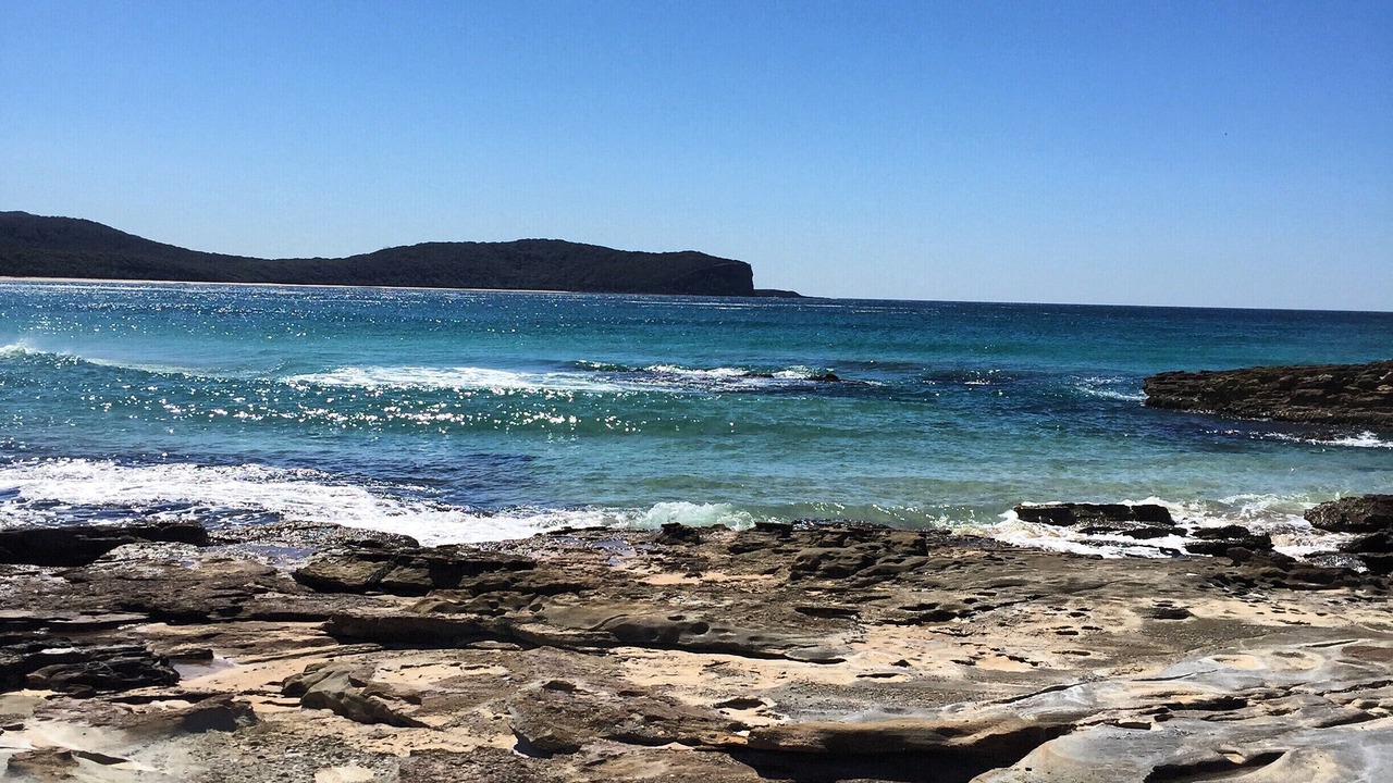 Photo of Others in South Durras