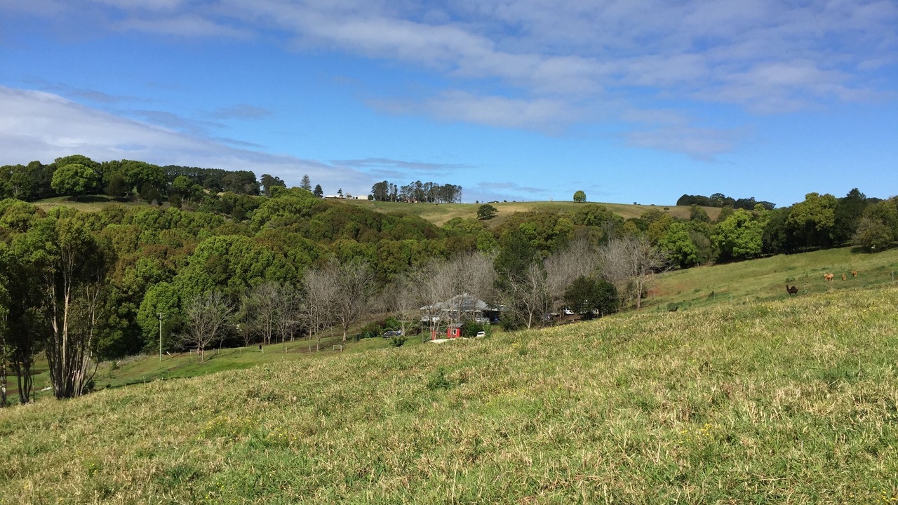 Photo of Outdoor in Pearces Creek