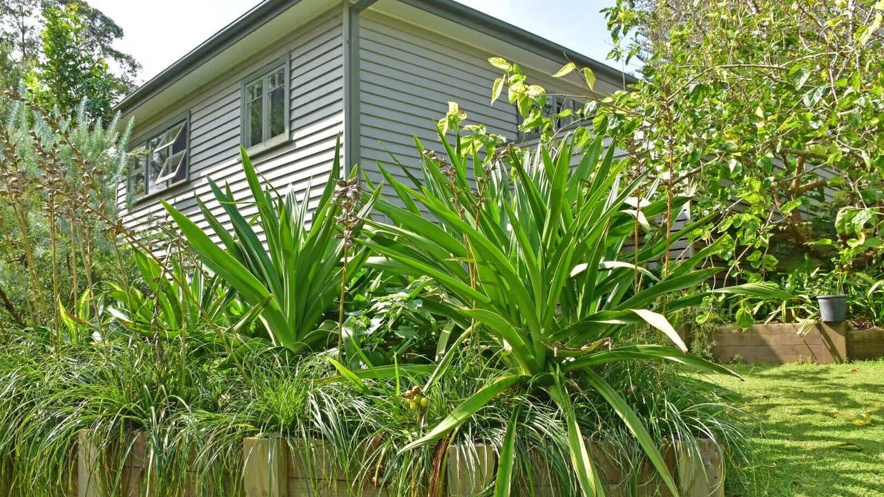 Photo of Outdoor in Tuross Head