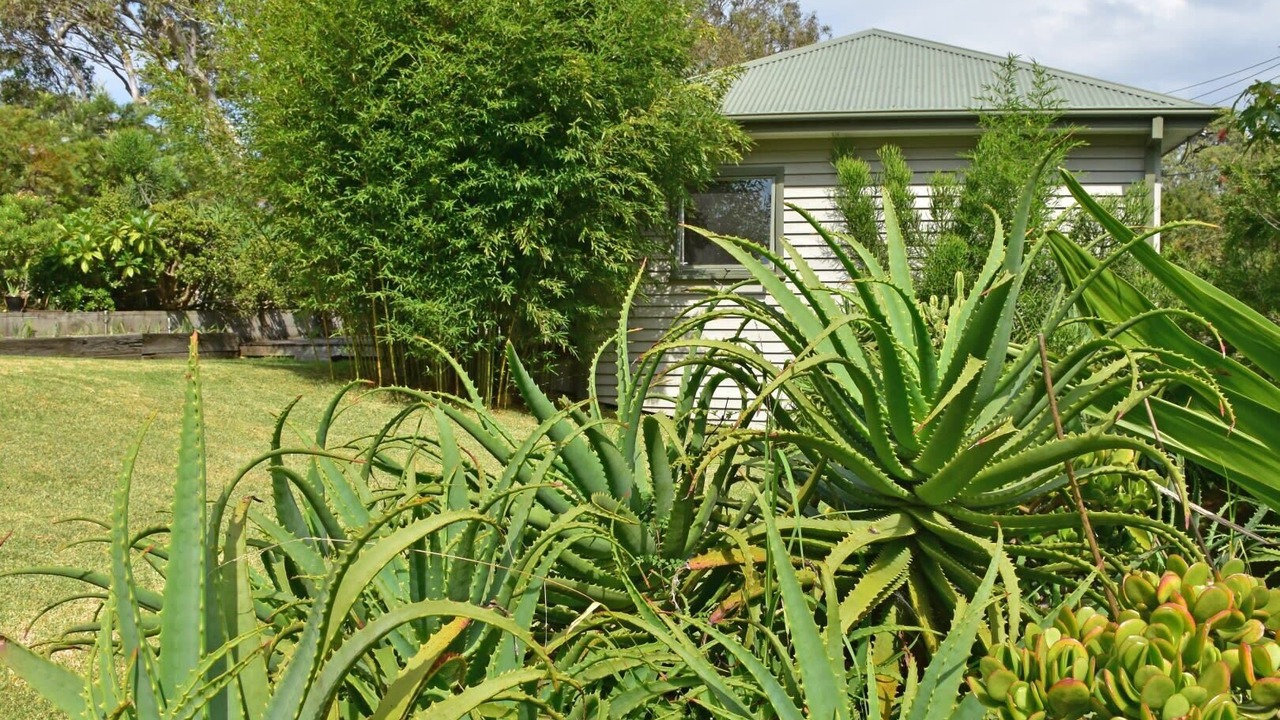 Photo of Outdoor in Tuross Head