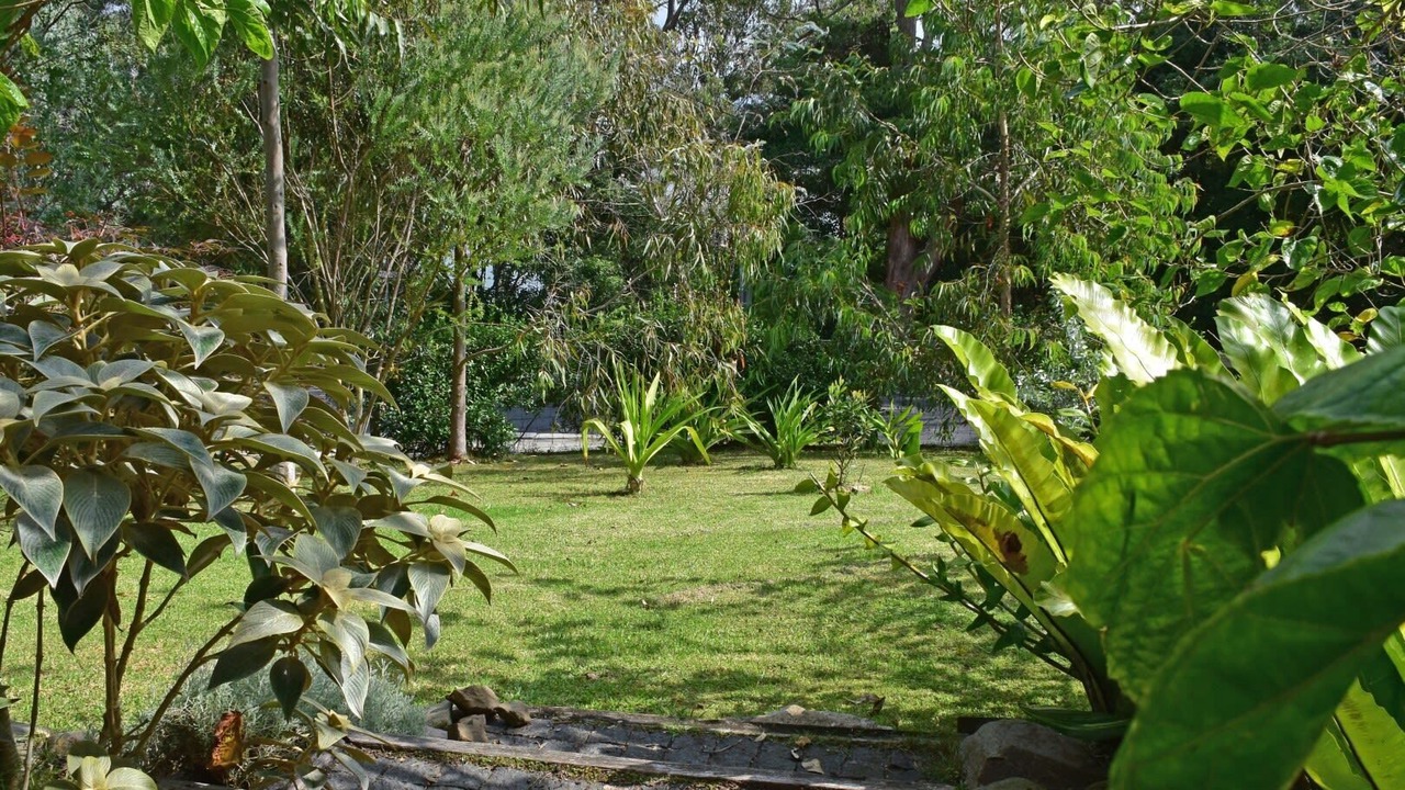 Photo of Outdoor in Tuross Head