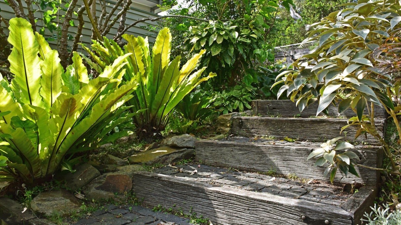 Photo of Outdoor in Tuross Head
