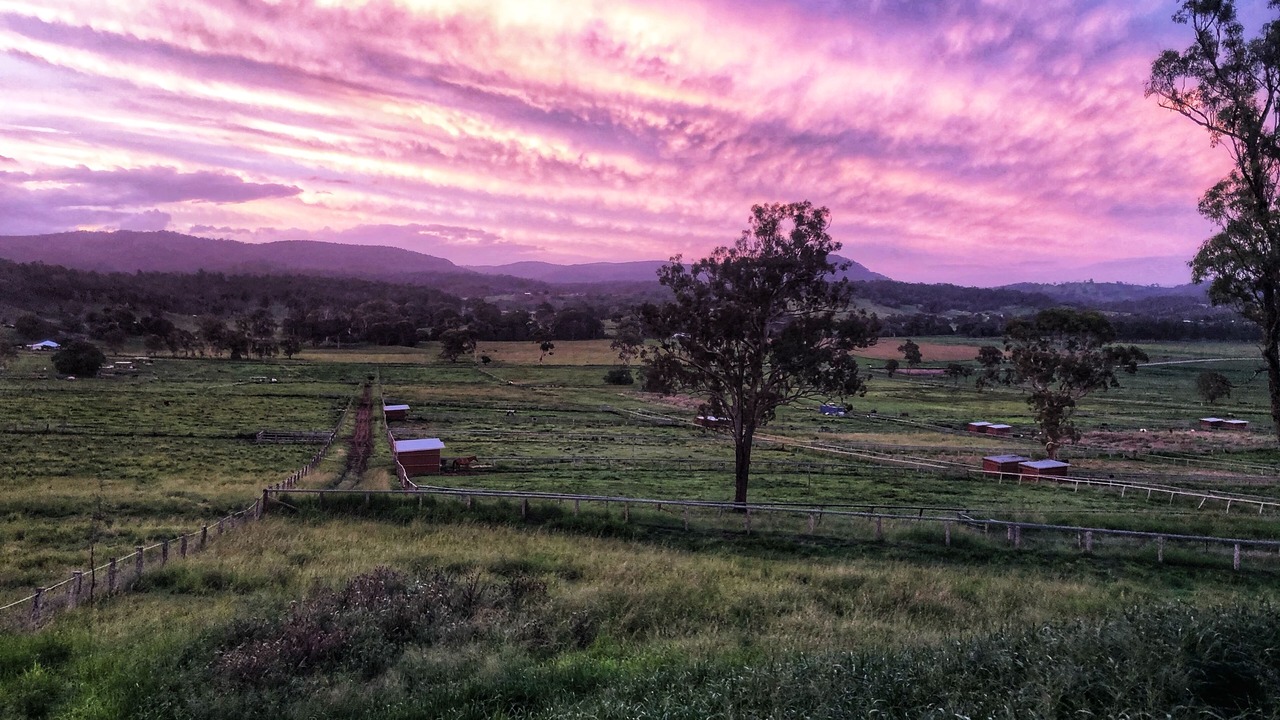 Photo of Outdoor in Oaky Creek
