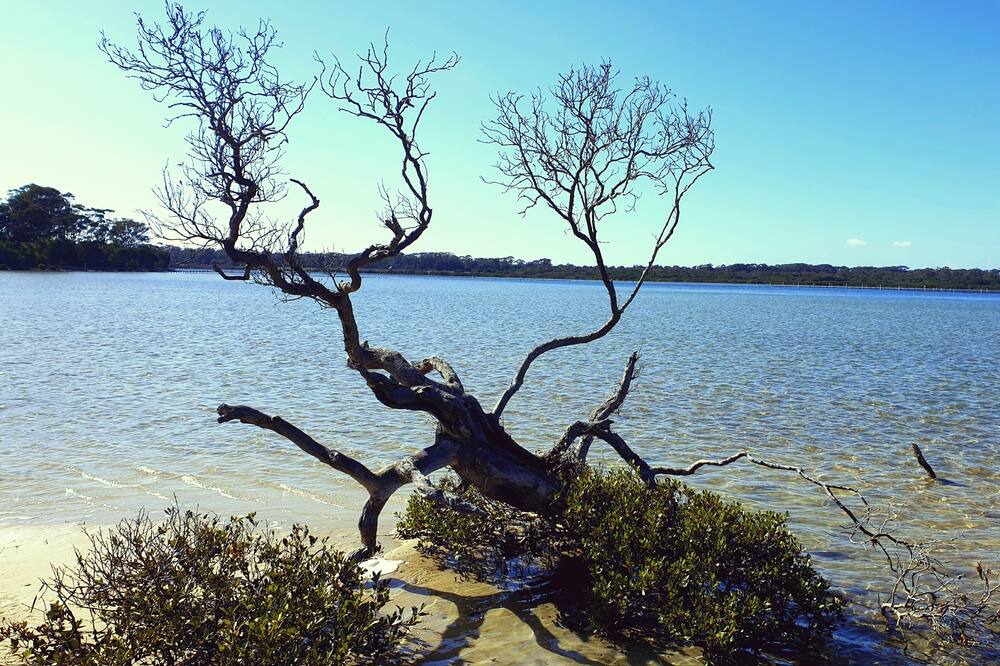 Photo of Outdoor in Merimbula