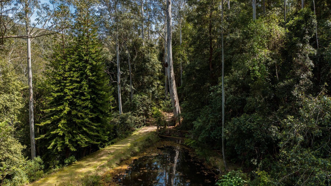 Photo of Outdoor in Salisbury