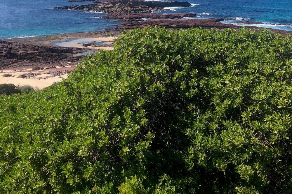 Photo of Outdoor in Merimbula