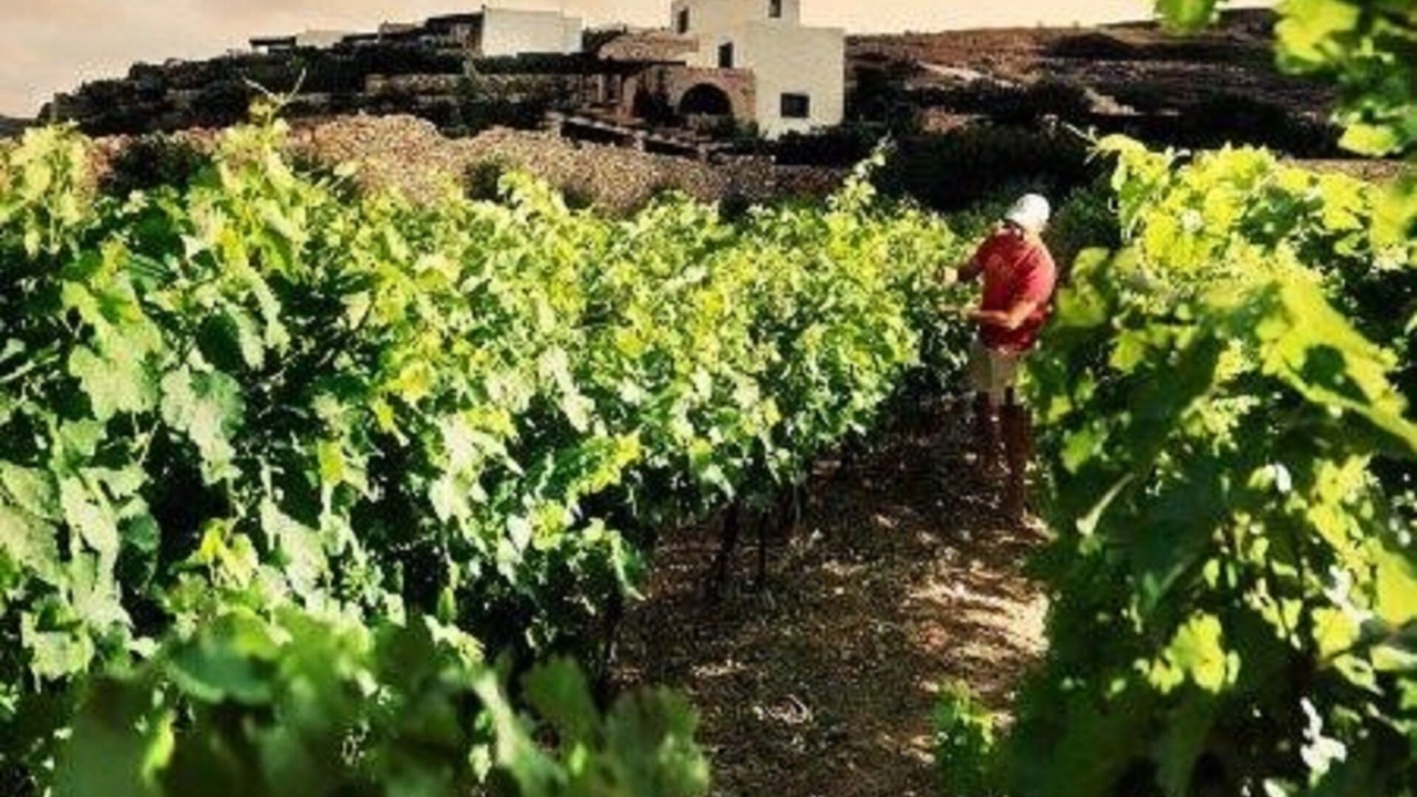 Photo of Outdoor in Krotiri