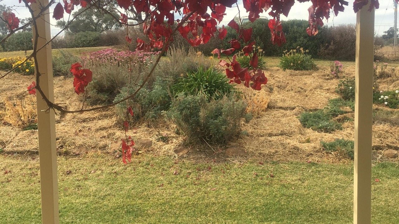 Photo of Outdoor in Galambine