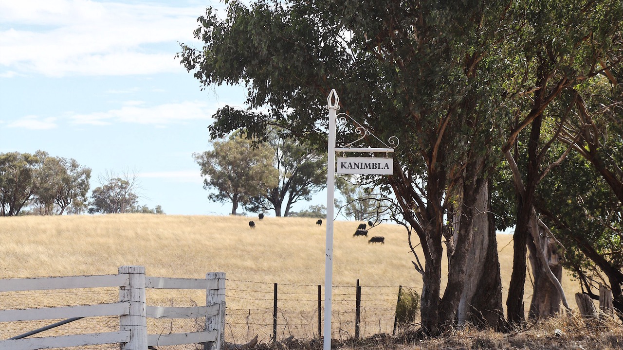 Photo of Others in Galambine