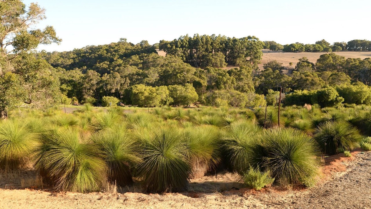 Photo of Outdoor in Yallingup