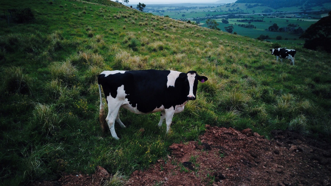 Photo of Outdoor in Willow Vale