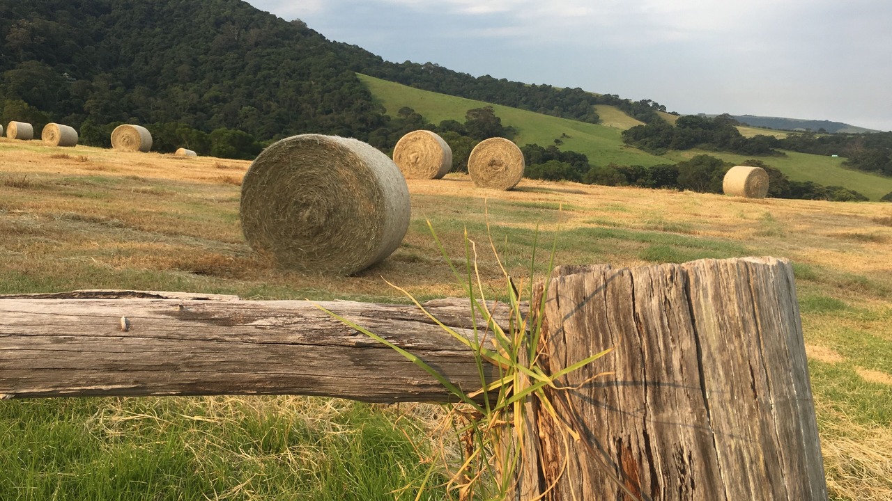 Photo of Outdoor in Willow Vale