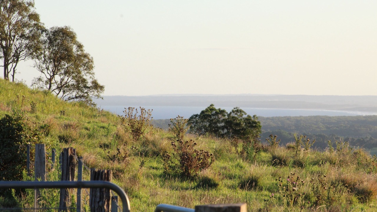 Photo of Outdoor in Willow Vale