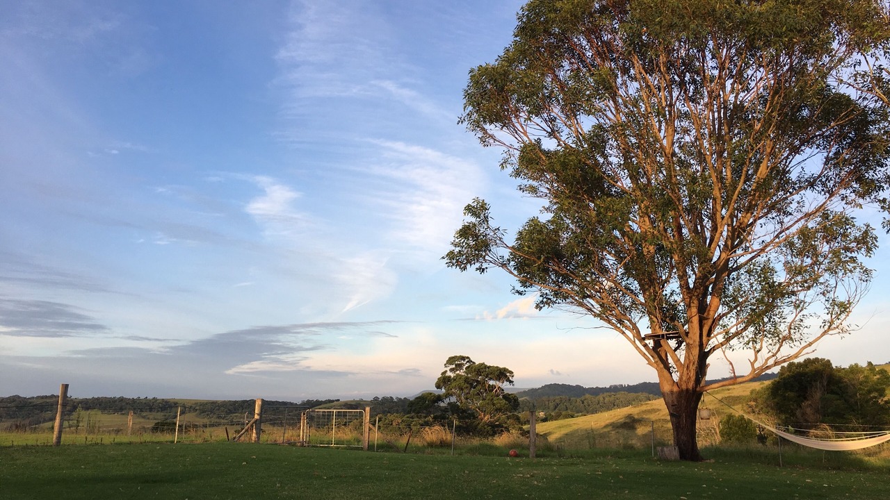 Photo of Others in Willow Vale