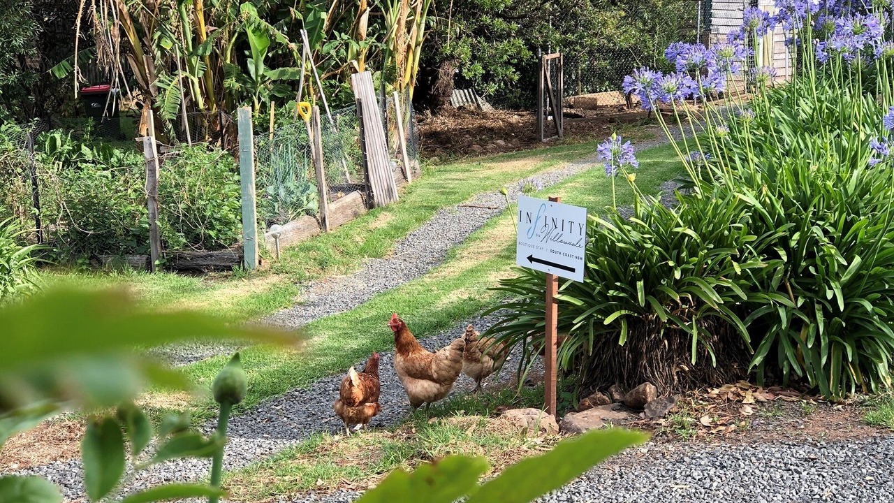 Photo of Outdoor in Willow Vale