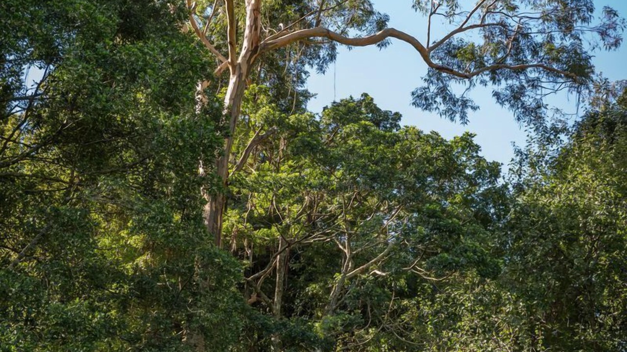 Photo of Outdoor in Grose Vale