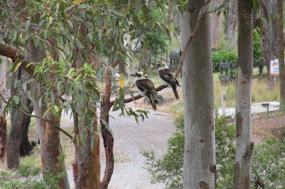 Photo of Outdoor in Bundabah