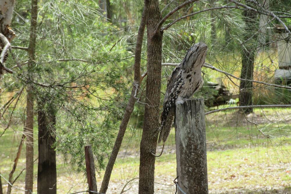 Photo of Outdoor in Bundabah