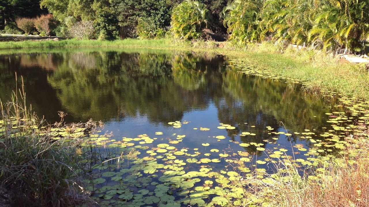 Photo of Outdoor in Cudgera Creek