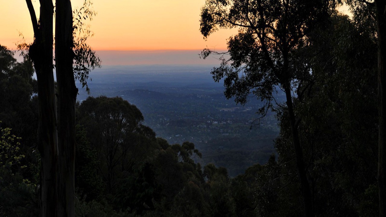 Photo of Others in Kalorama