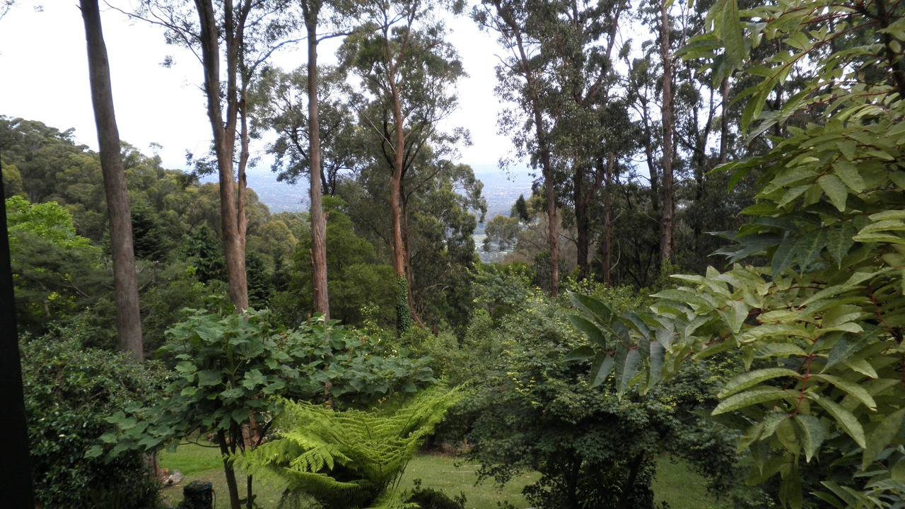Photo of Outdoor in Kalorama