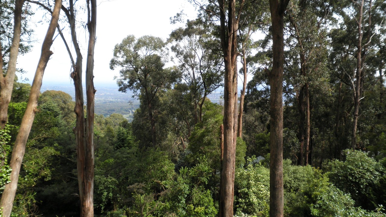 Photo of Outdoor in Kalorama