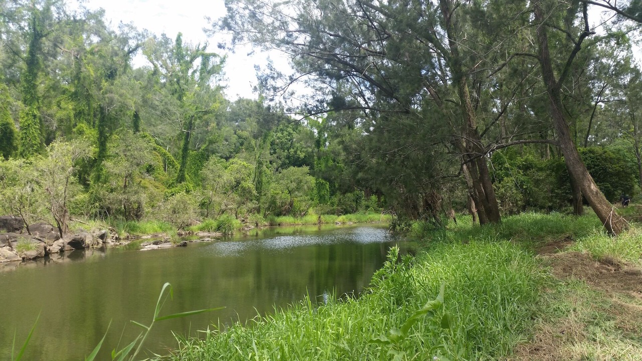 Photo of Outdoor in Advancetown