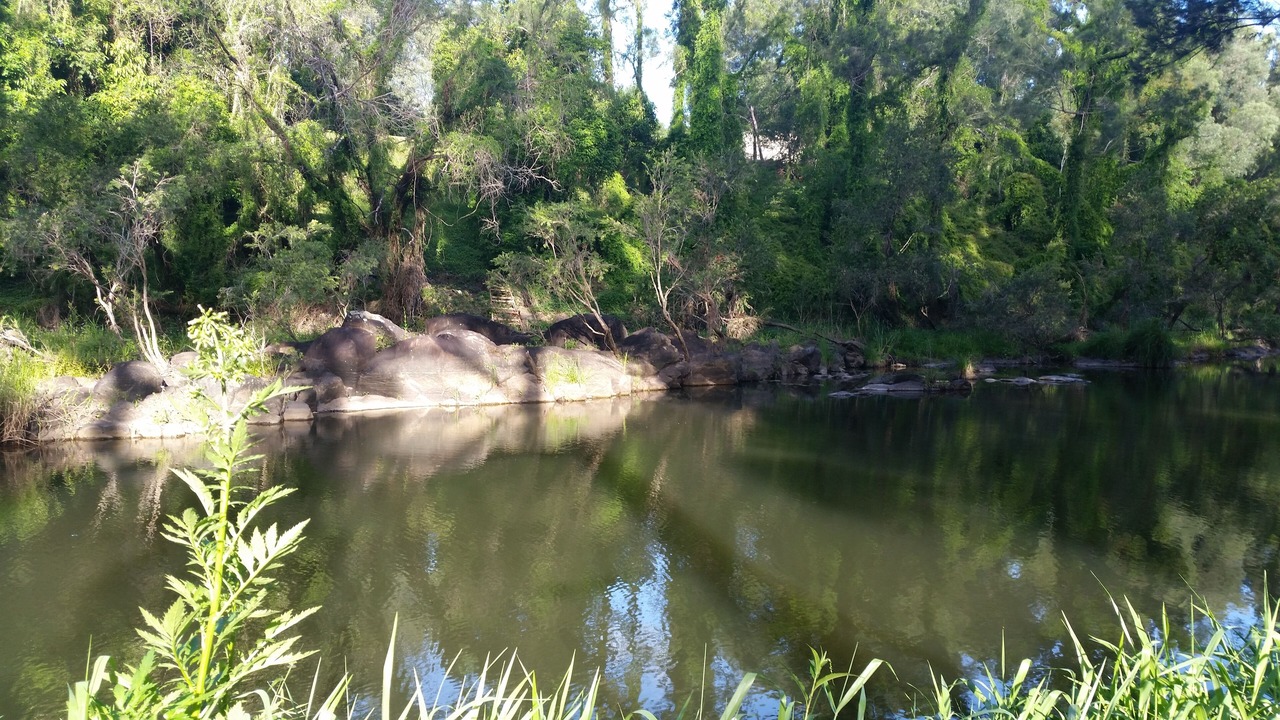 Photo of Outdoor in Advancetown