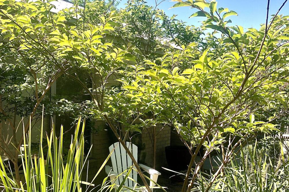 Photo of Outdoor in McCrae