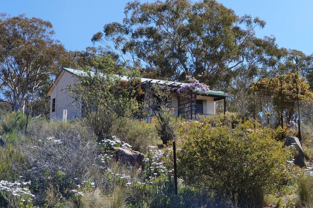 Photo of Others in Rockley Mount