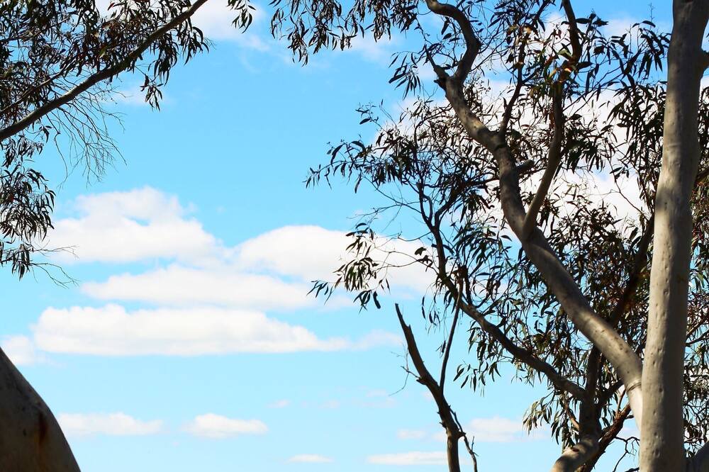 Photo of Others in Rockley Mount