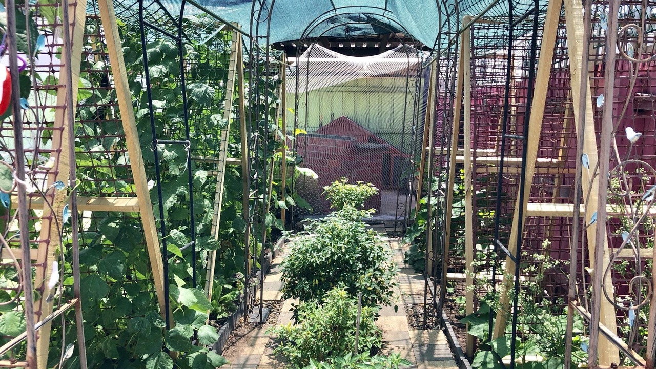 Photo of Outdoor in Altona Meadows