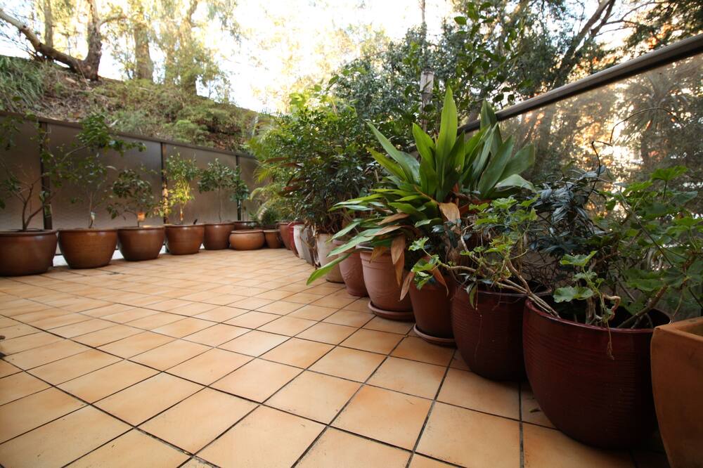 Photo of Patio Balcony in Randwick