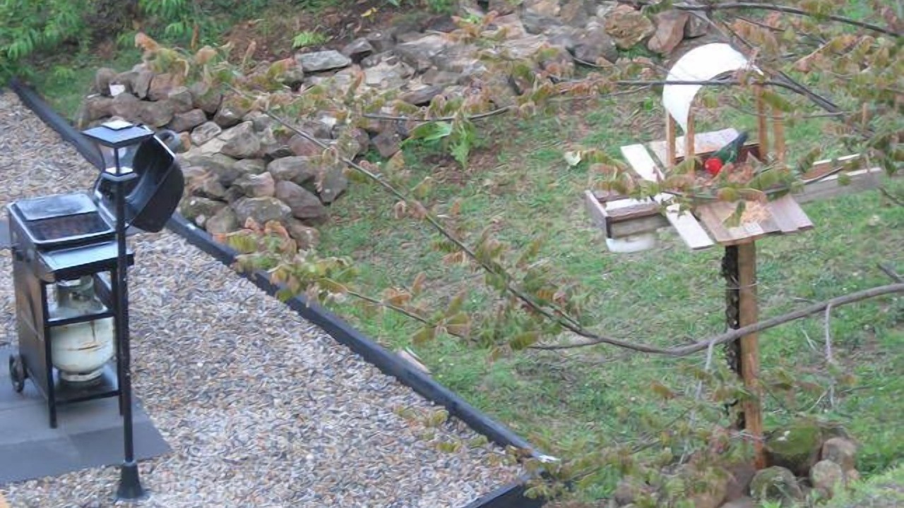 Photo of Outdoor in Bellthorpe