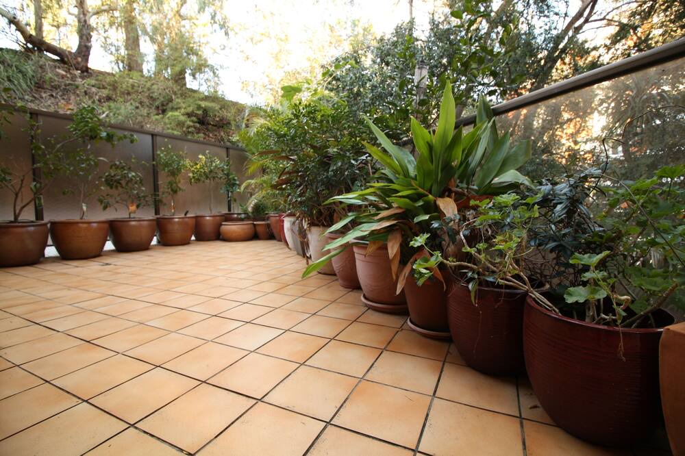 Photo of Patio Balcony in Randwick
