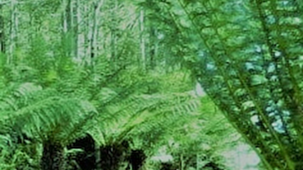 Photo of Outdoor in Moina