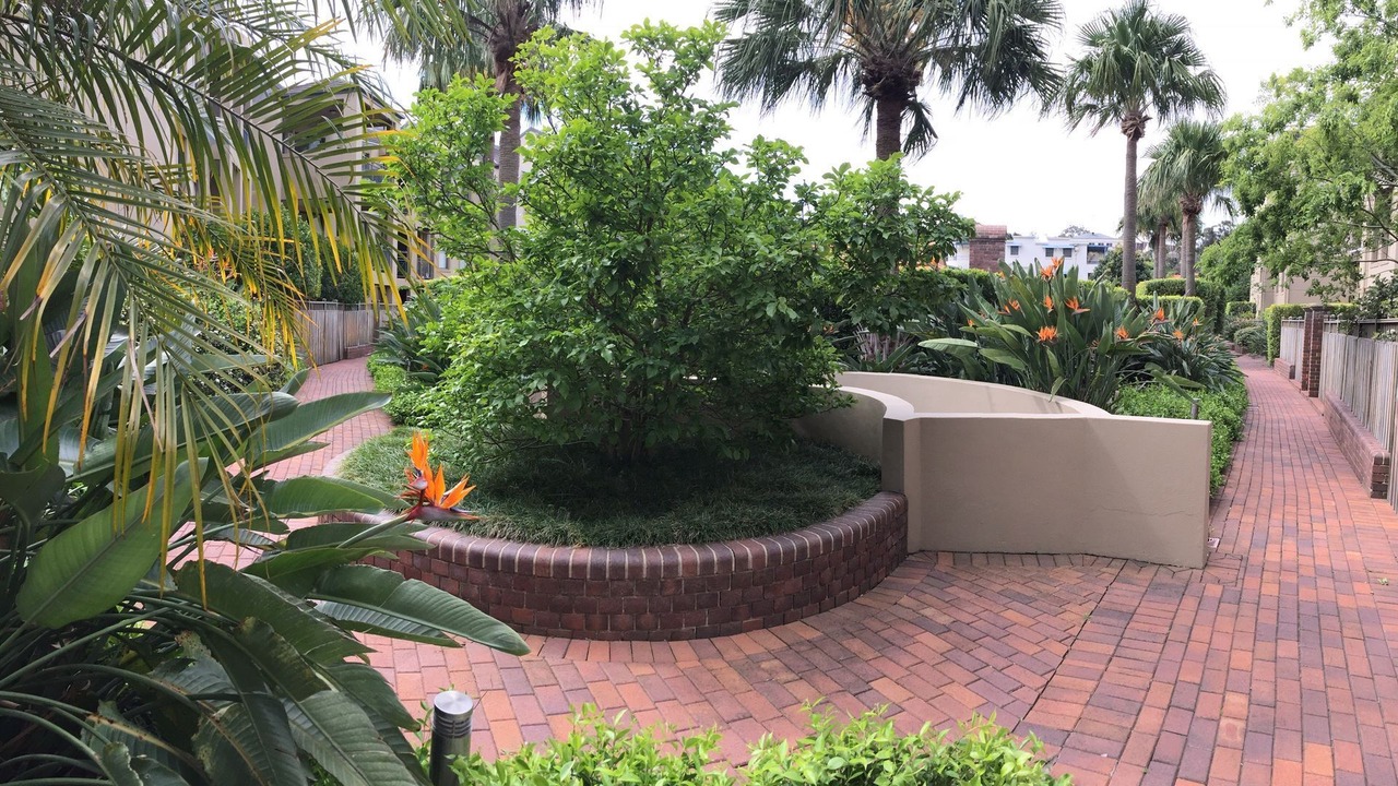 Photo of Outdoor in Balmain