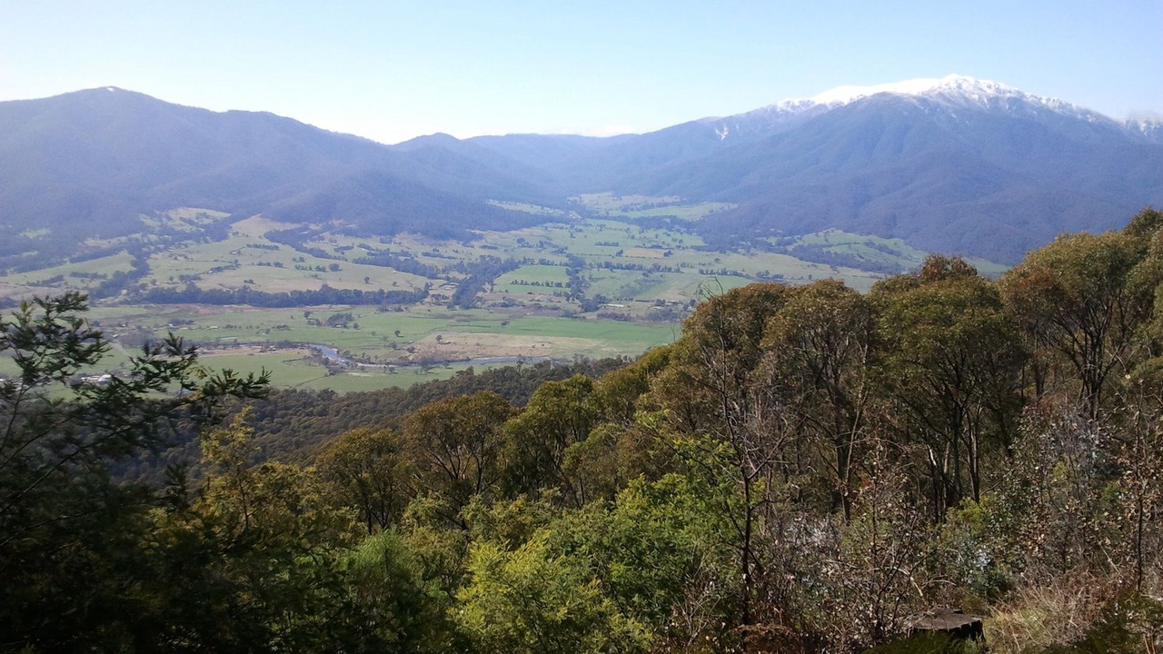 Photo of Others in Tawonga South