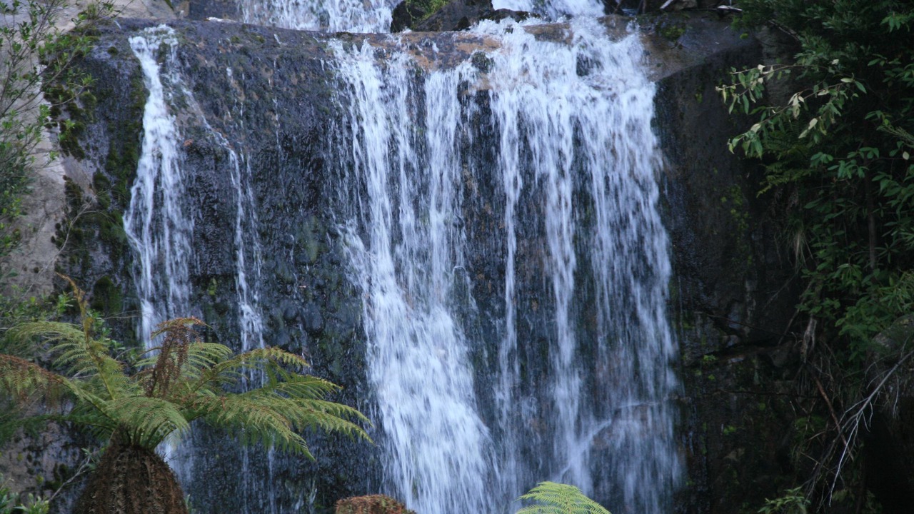 Photo of Outdoor in Tawonga South