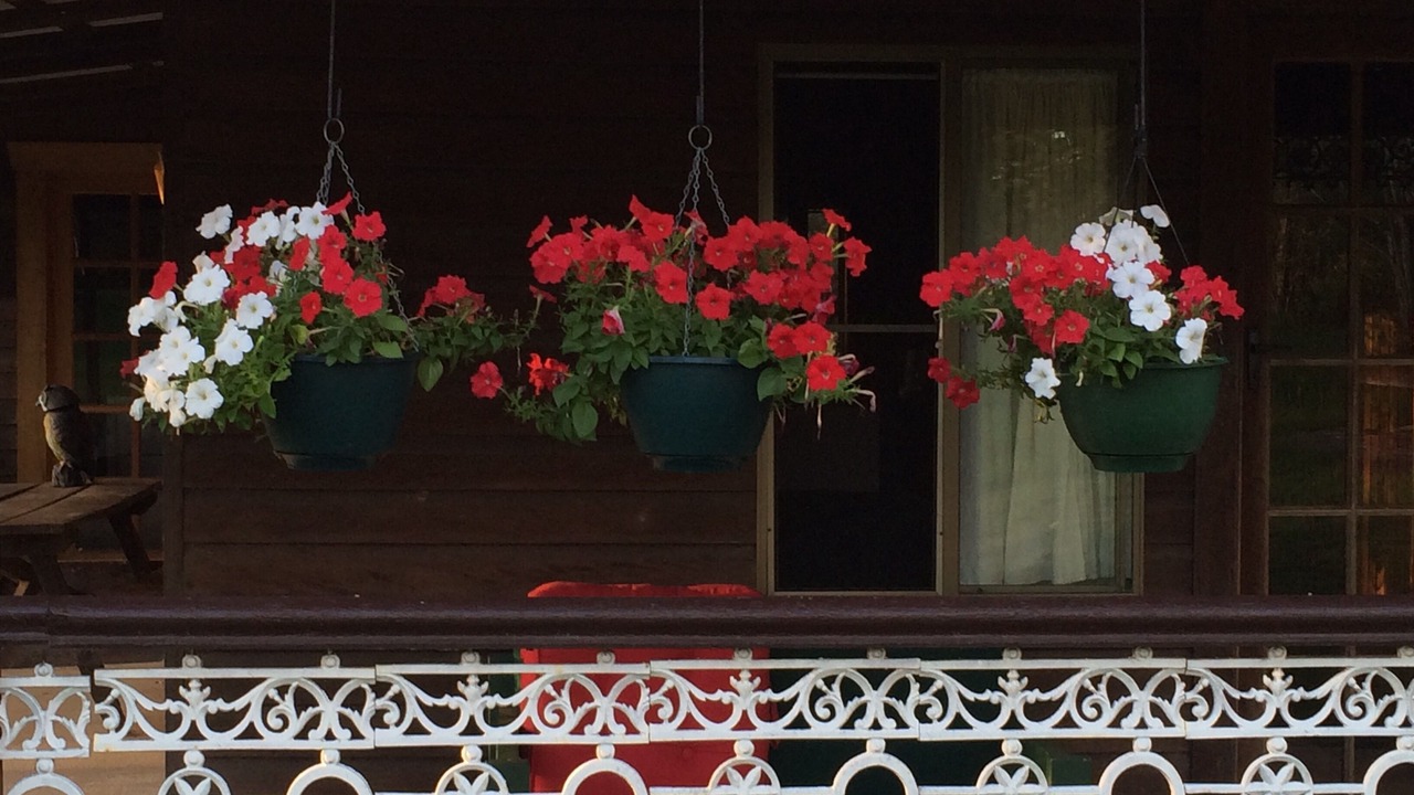 Photo of Outdoor in Seelands