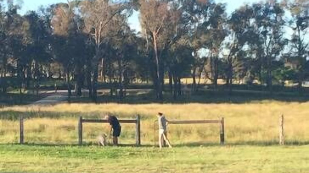 Photo of Others in Broadwater