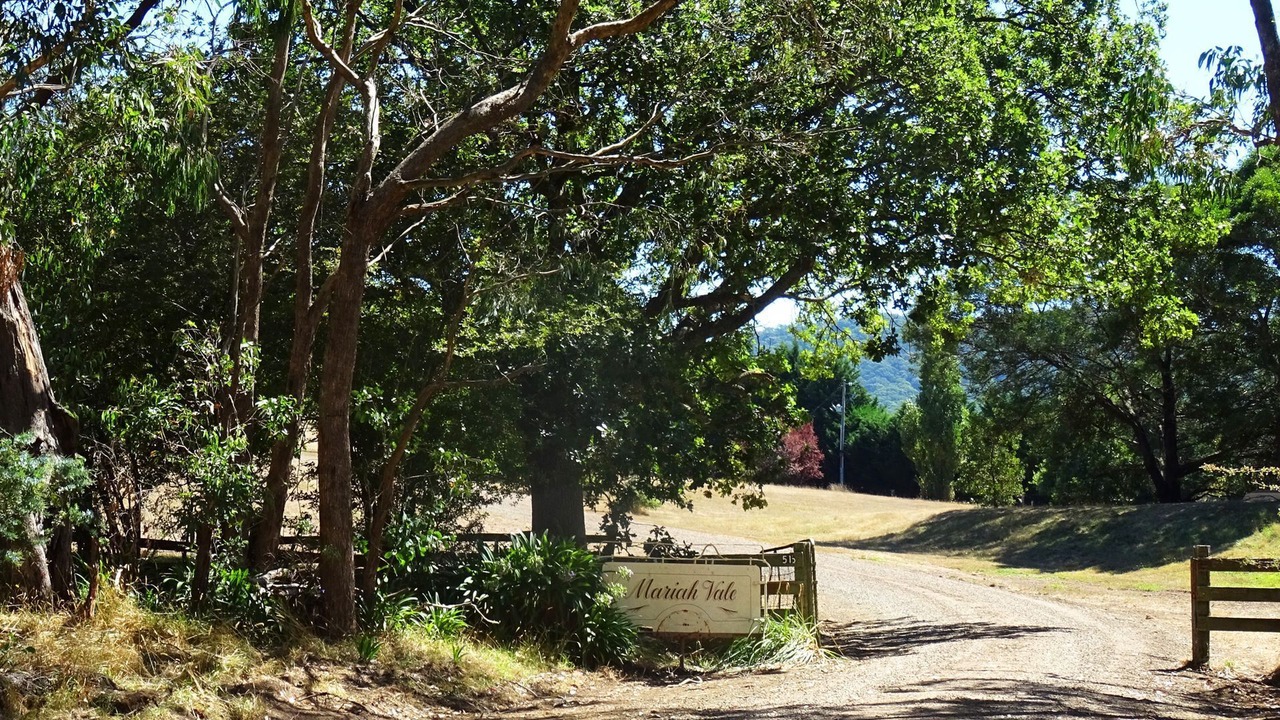 Photo of Outdoor in Mount Macedon