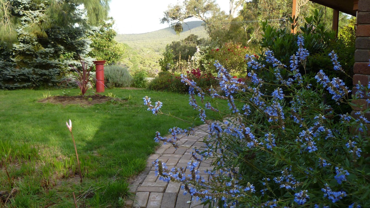 Photo of Outdoor in Mount Macedon