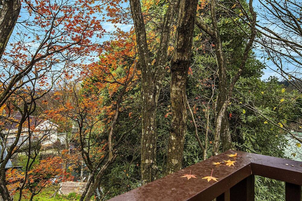 Photo of Outdoor in Katoomba