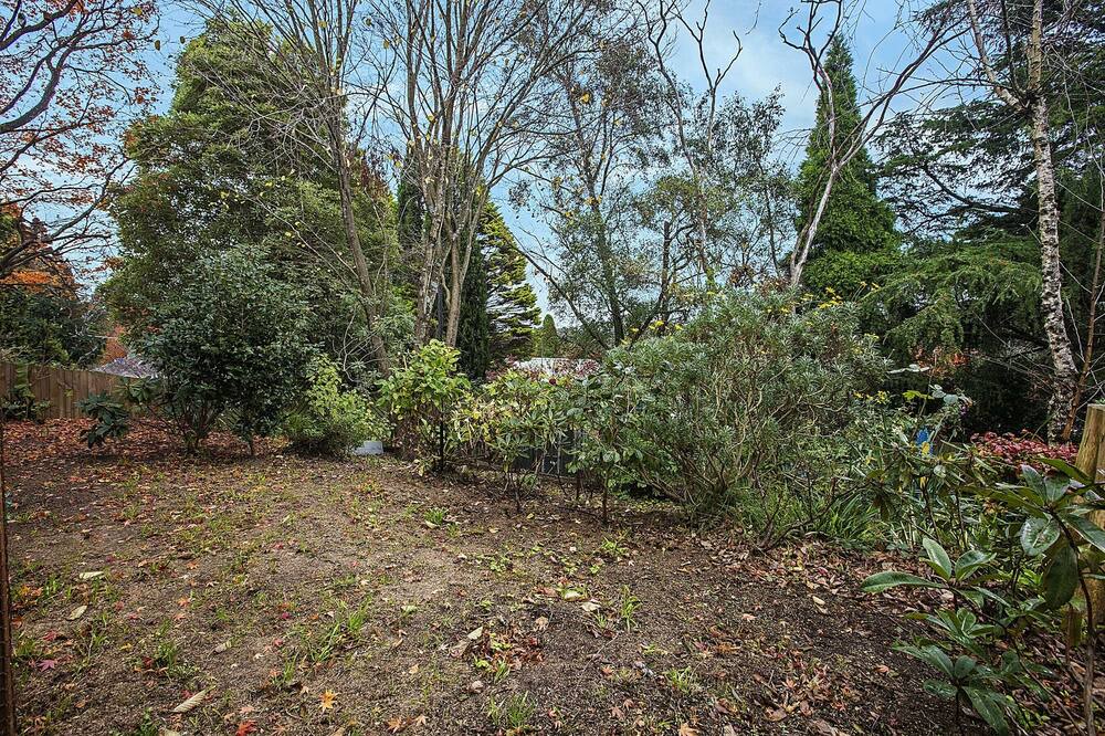 Photo of Outdoor in Katoomba