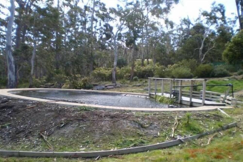Photo of Others in Sandford