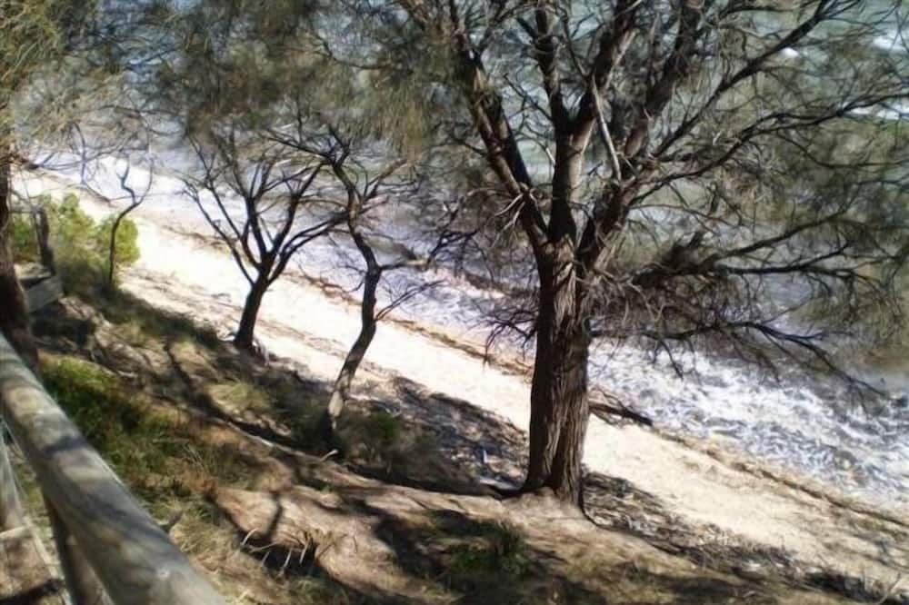 Photo of Others in Sandford