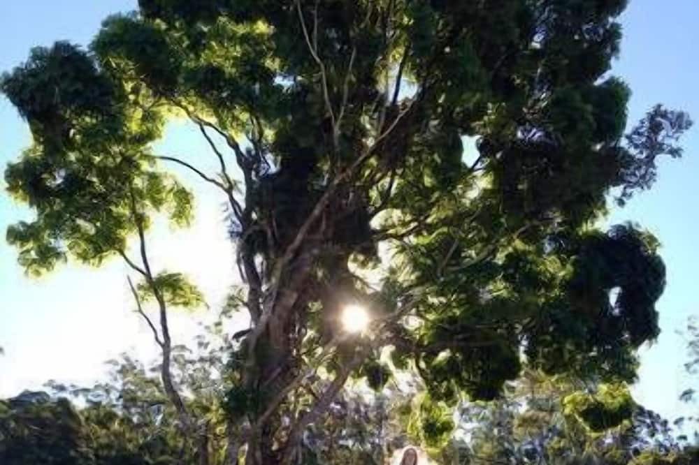Photo of Outdoor in Upper Burringbar