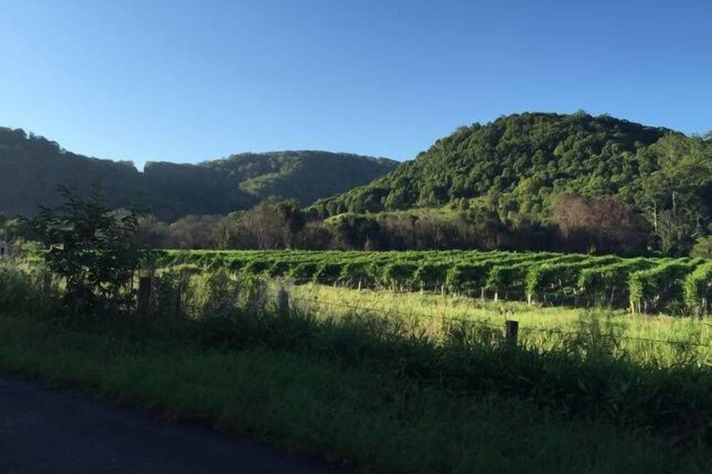 Photo of Outdoor in Upper Burringbar